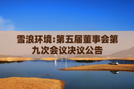 雪浪环境:第五届董事会第九次会议决议公告