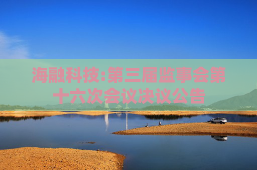 海融科技:第三届监事会第十六次会议决议公告