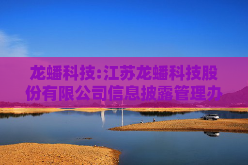 龙蟠科技:江苏龙蟠科技股份有限公司信息披露管理办法