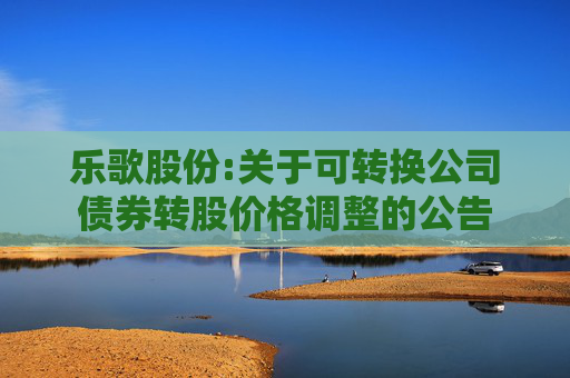 乐歌股份:关于可转换公司债券转股价格调整的公告