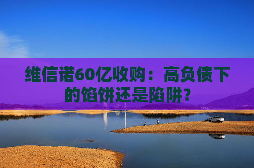 维信诺60亿收购：高负债下的馅饼还是陷阱？