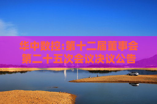华中数控:第十二届董事会第二十五次会议决议公告