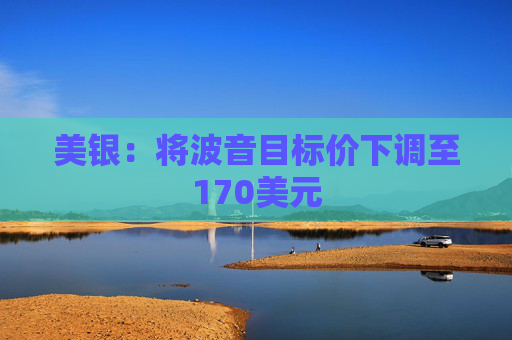 美银：将波音目标价下调至170美元