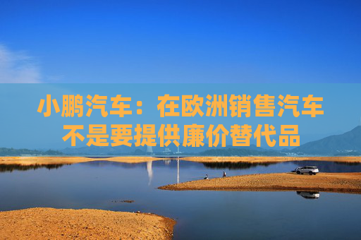 小鹏汽车：在欧洲销售汽车不是要提供廉价替代品