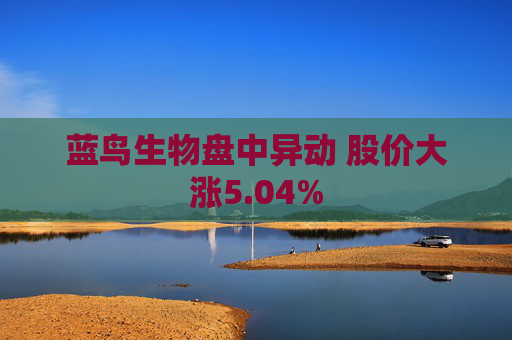 蓝鸟生物盘中异动 股价大涨5.04%