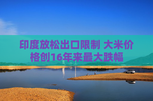 印度放松出口限制 大米价格创16年来最大跌幅