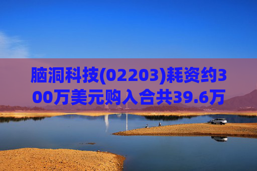 脑洞科技(02203)耗资约300万美元购入合共39.6万股Up Fintech股份