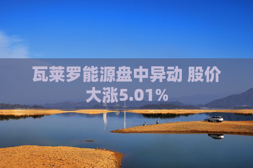 瓦莱罗能源盘中异动 股价大涨5.01%