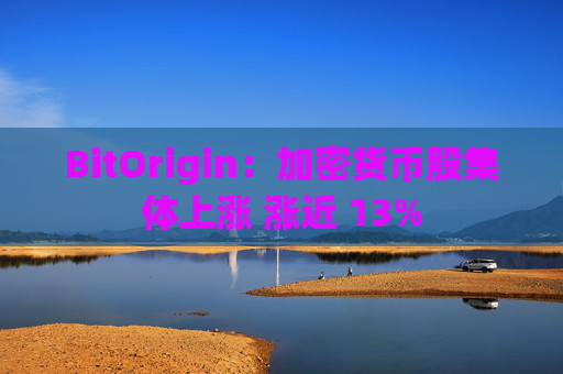 BitOrigin：加密货币股集体上涨 涨近 13%