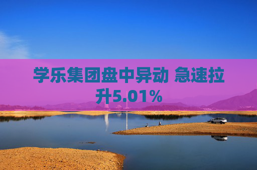 学乐集团盘中异动 急速拉升5.01%