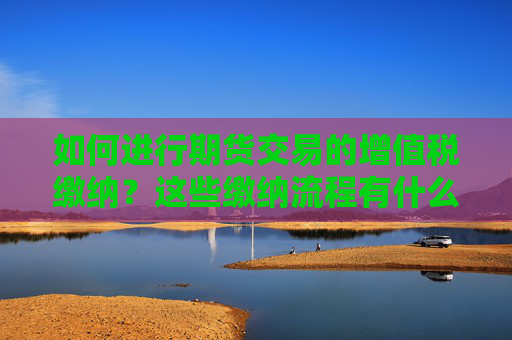 如何进行期货交易的增值税缴纳？这些缴纳流程有什么注意事项？