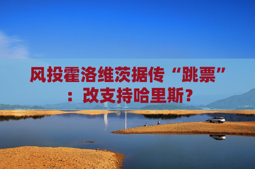 风投霍洛维茨据传“跳票”：改支持哈里斯？
