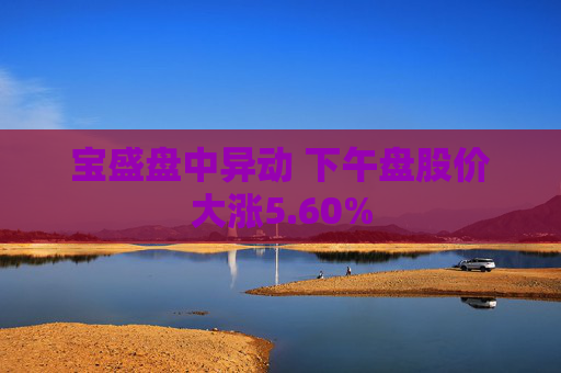 宝盛盘中异动 下午盘股价大涨5.60%