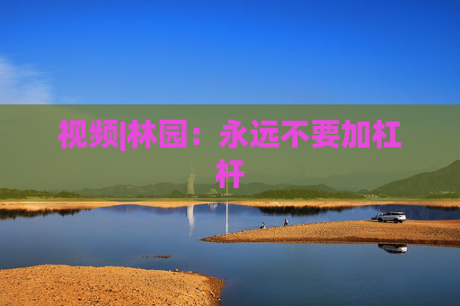 视频|林园：永远不要加杠杆