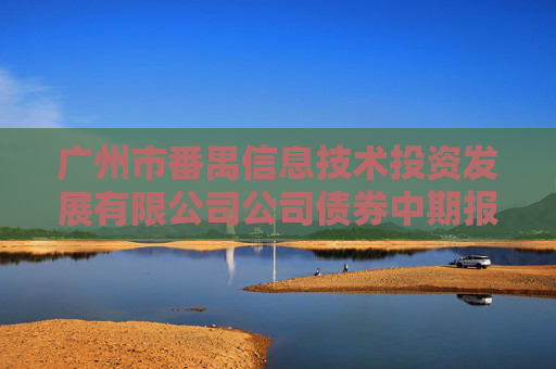 广州市番禺信息技术投资发展有限公司公司债券中期报告（2024年）