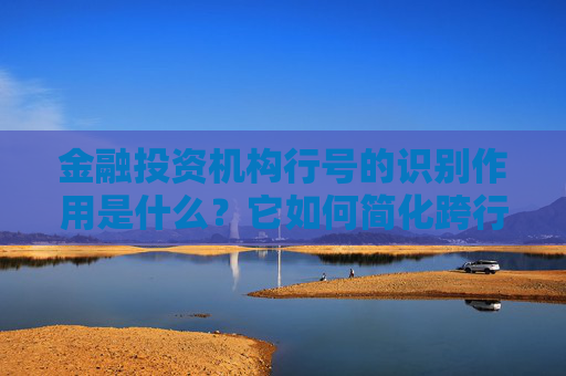 金融投资机构行号的识别作用是什么？它如何简化跨行交易流程？
