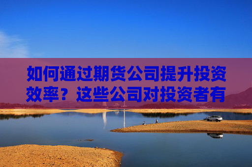 如何通过期货公司提升投资效率？这些公司对投资者有何参考价值？