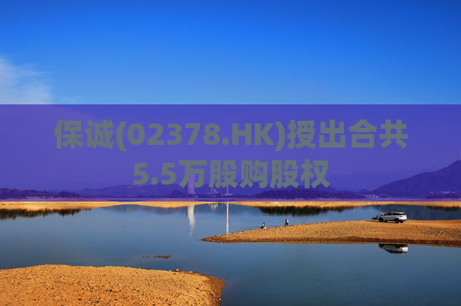 保诚(02378.HK)授出合共5.5万股购股权