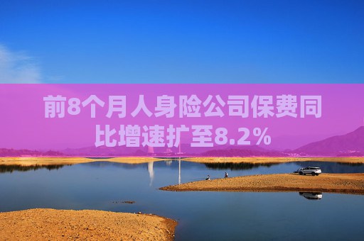 前8个月人身险公司保费同比增速扩至8.2%