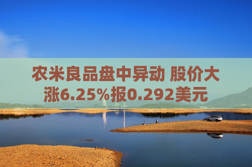 农米良品盘中异动 股价大涨6.25%报0.292美元