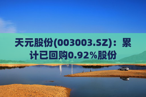 天元股份(003003.SZ)：累计已回购0.92%股份