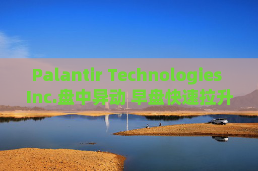 Palantir Technologies Inc.盘中异动 早盘快速拉升5.05%
