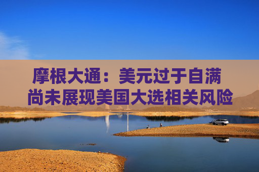 摩根大通：美元过于自满 尚未展现美国大选相关风险溢价