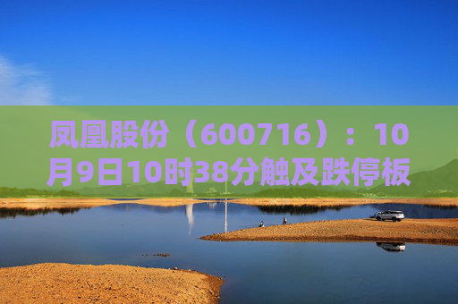 凤凰股份（600716）：10月9日10时38分触及跌停板