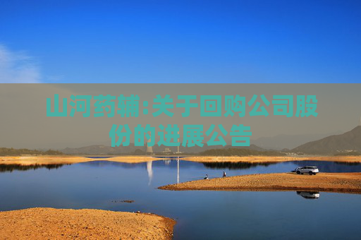 山河药辅:关于回购公司股份的进展公告