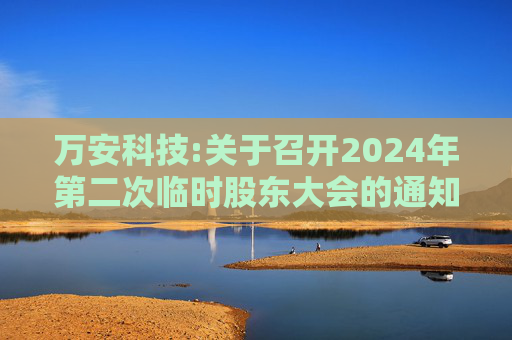 万安科技:关于召开2024年第二次临时股东大会的通知