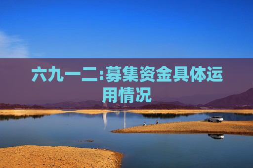 六九一二:募集资金具体运用情况
