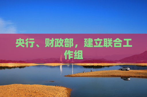 央行、财政部，建立联合工作组