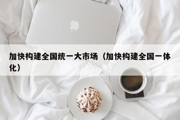 加快构建全国统一大市场（加快构建全国一体化）